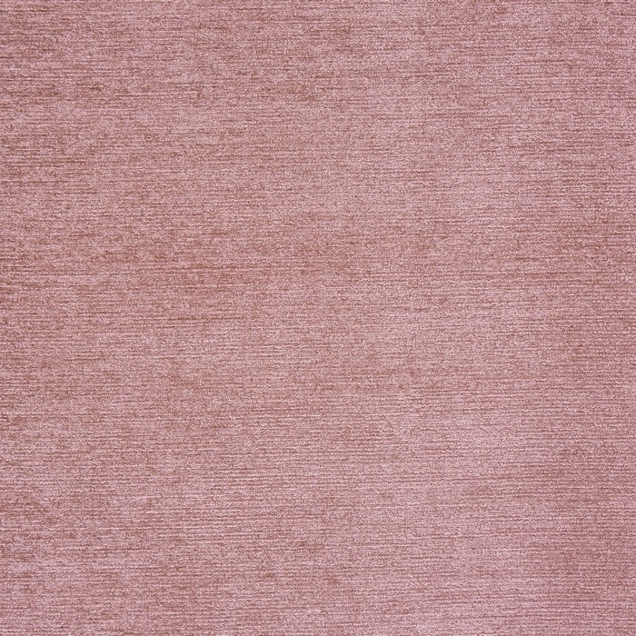 Anderson - Shell fabric | Anderson | Prestigious Textiles