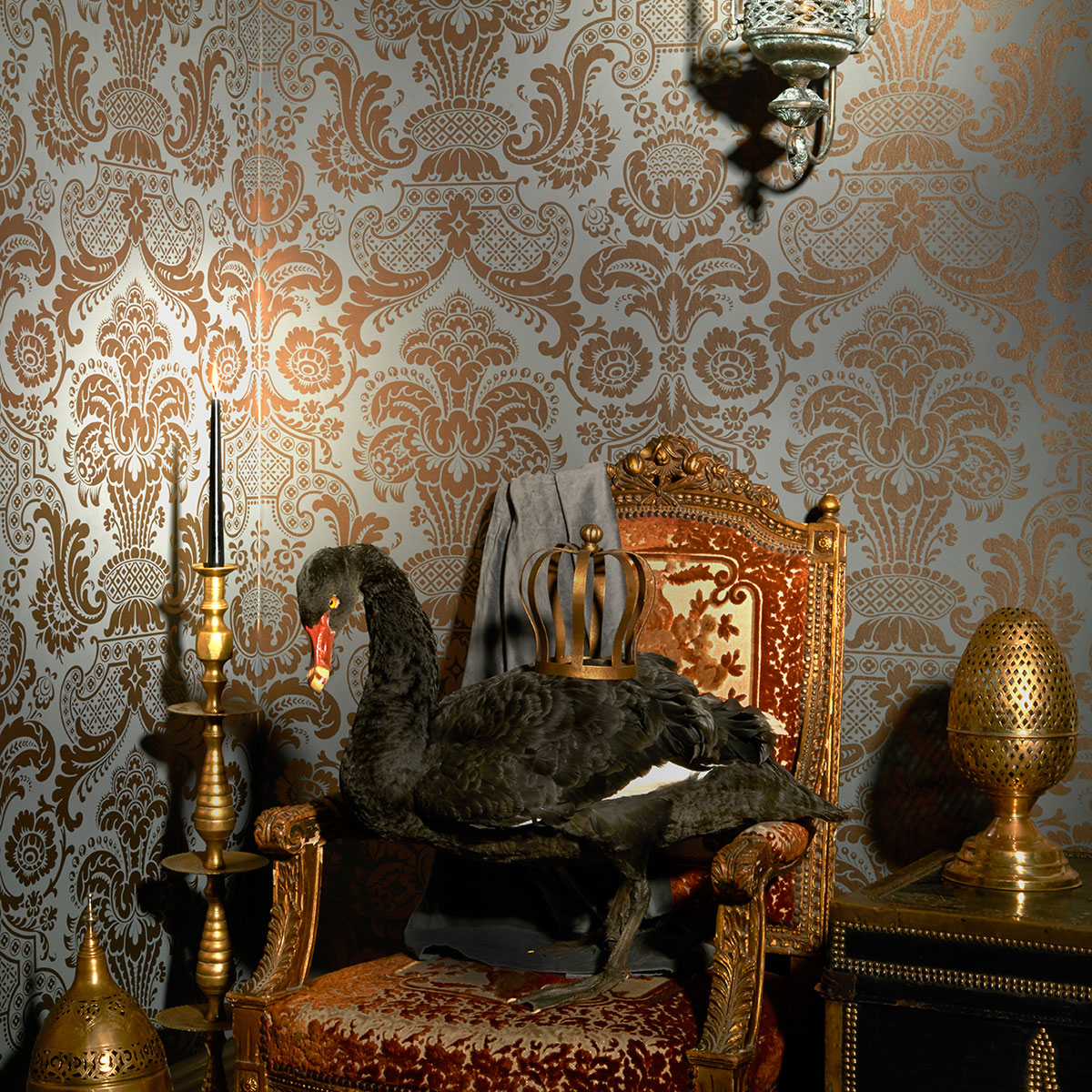 Carmen 2010 wallpaper Mariinsky Damask Cole & Son