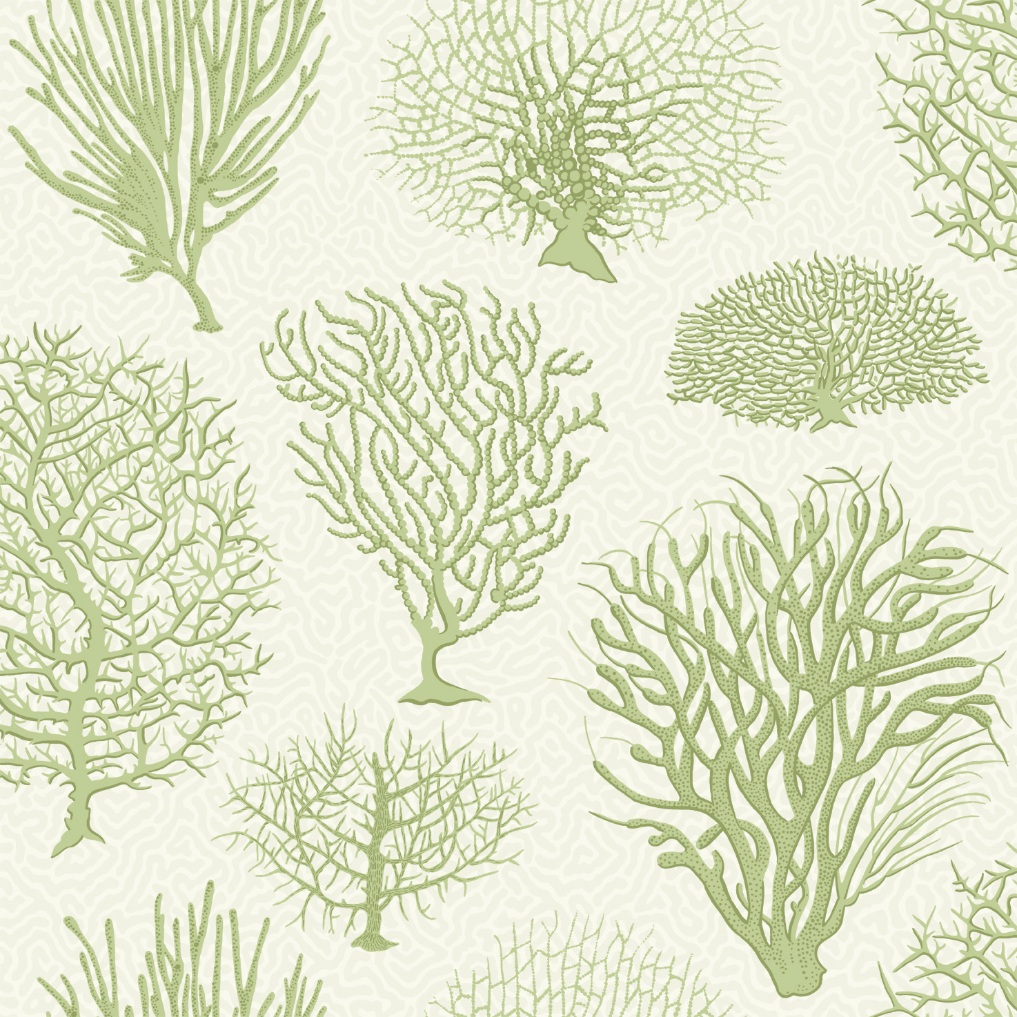 Seafern 2008 wallpaper Curio Cole & Son