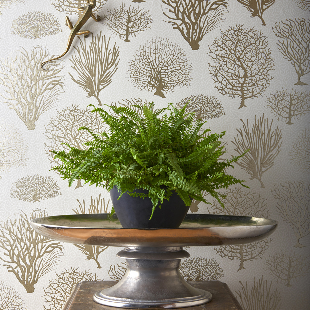 Seafern 2010 wallpaper Curio Cole & Son
