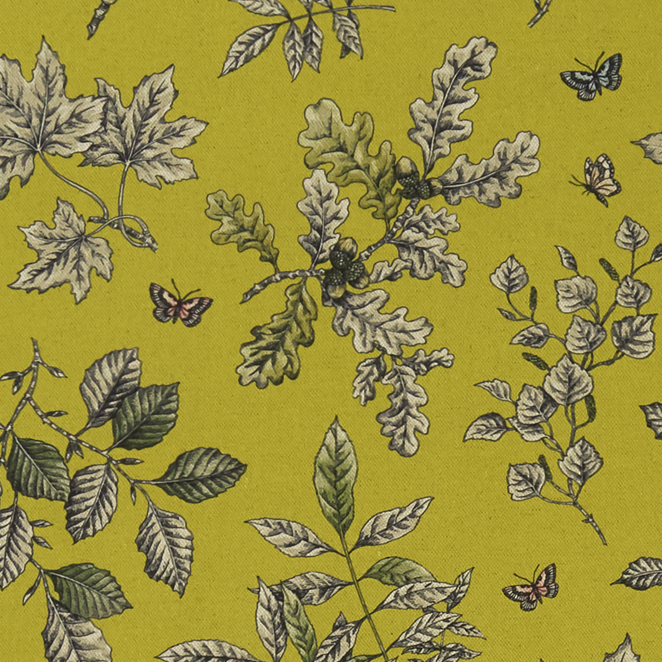 Hortus - Chartreuse fabric | Eden | Clarke & Clarke