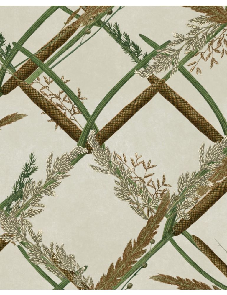 Ornamental Reed - Beige wallpaper | Wetlands Collection | Mind The Gap