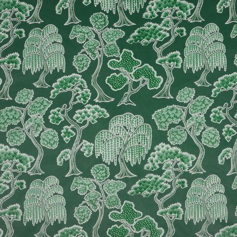 Midori - Evergreen