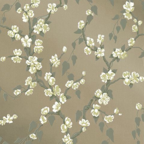 Sakura - Lustre