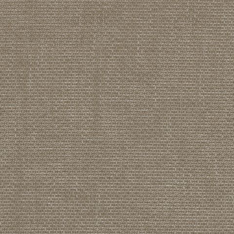 Conti - Brun Tabac