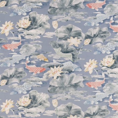 Koi - Monsoon