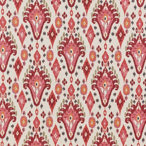 Boho - Begonia