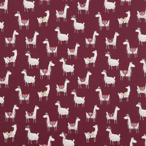 Alpaca - Salsa
