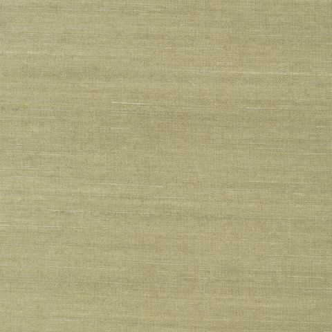 Shang Extra Fine - Moss wallpaper