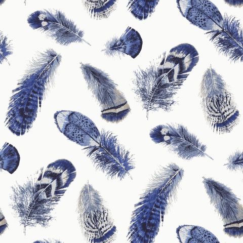 Birding - Blue