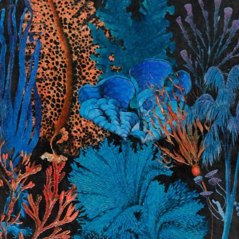 13インチレッドandブラックCoral Reef Motif Collectibleキッチンオーブンミット 13インチレッドandブラックCoral Reef Motif Collectibleキッチン