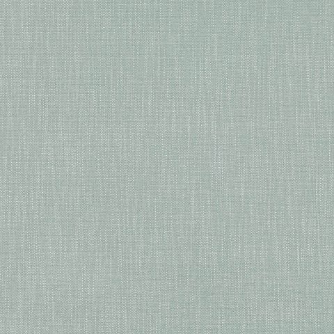 Lille - Eucalyptus