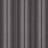 Limit - Jet Black fabric