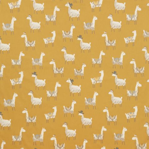 Alpaca - Quince