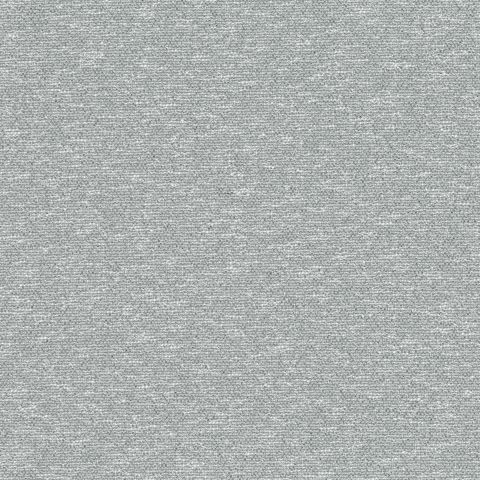 Kota - Eucalyptus
